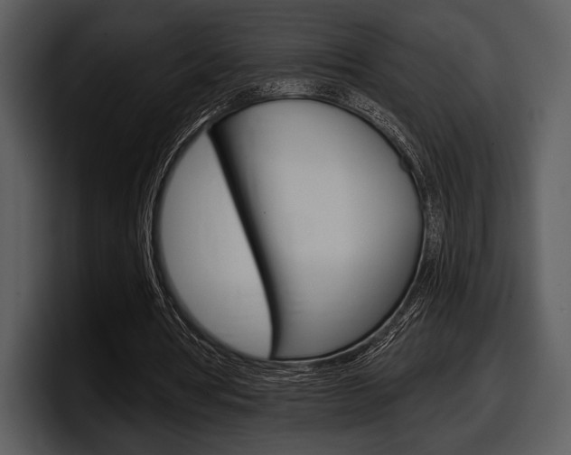 X0000098090386200804040731