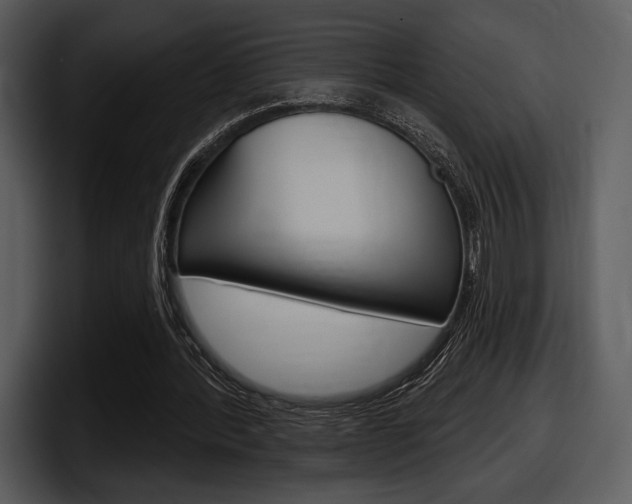 X0000098090388200804040730