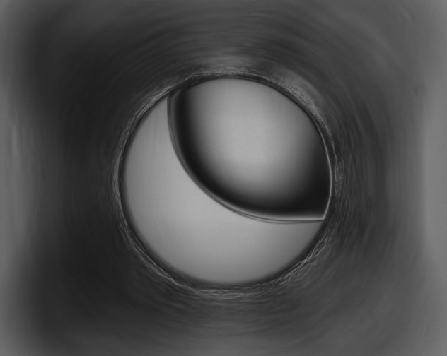 X0000098090389200804040730
