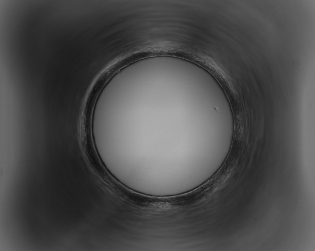 X0000098090392200804040730