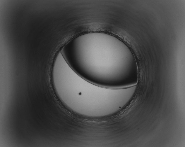 X0000098090393200804040730