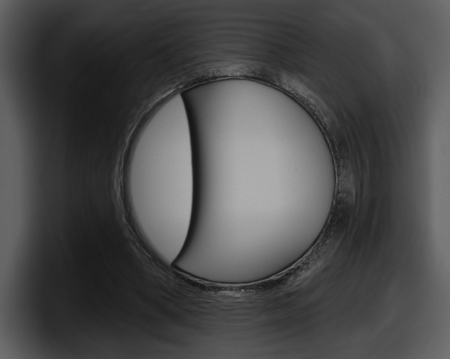 X0000098090394200804040730