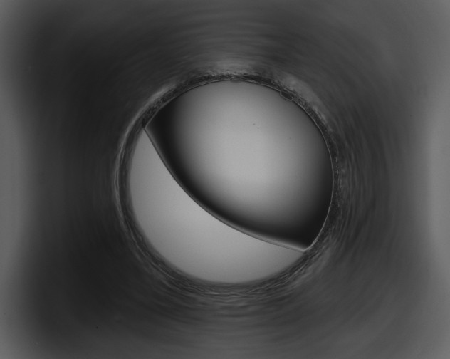 X0000098090395200804040730