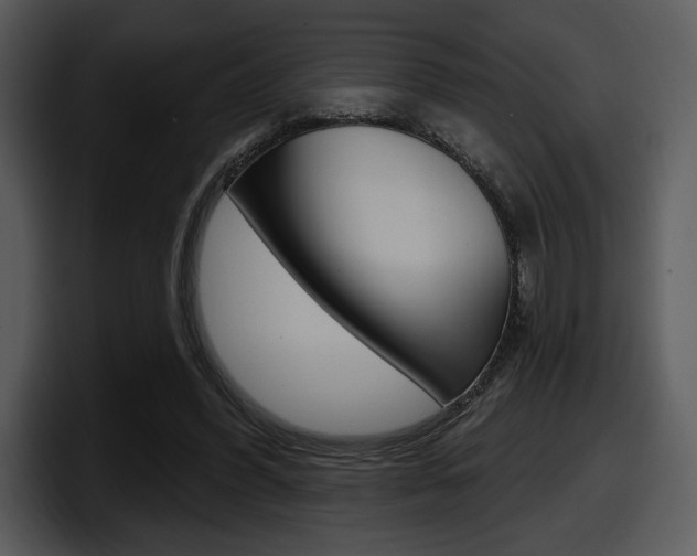 X0000098090396200804040730