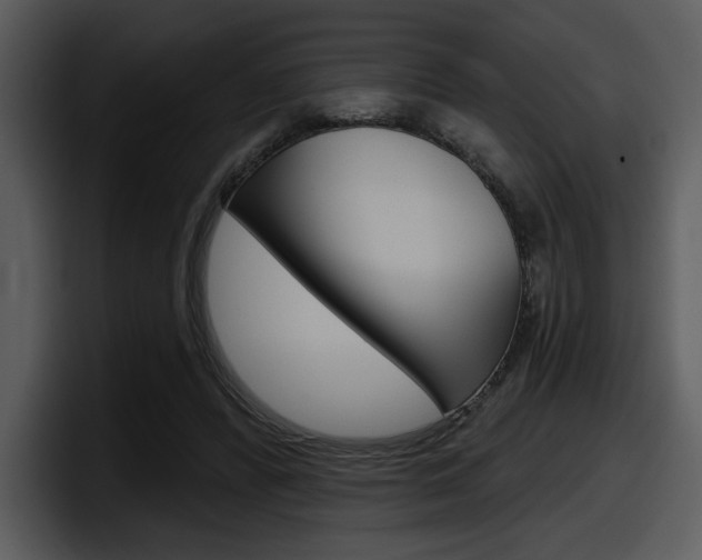 X0000098090400200804040730
