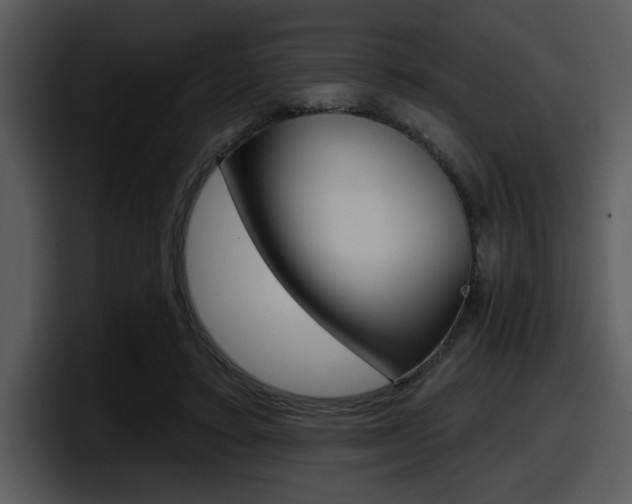 X0000098090403200804040730