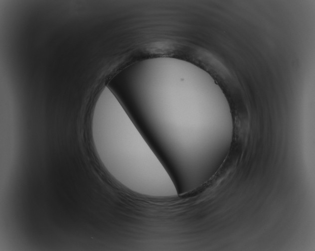 X0000098090404200804040730