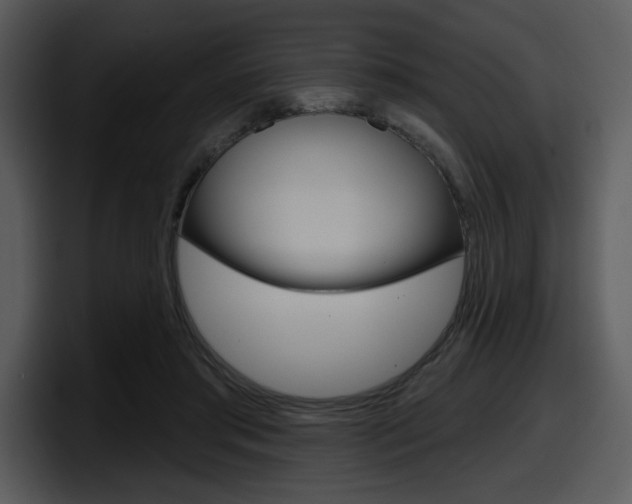 X0000098090405200804040730