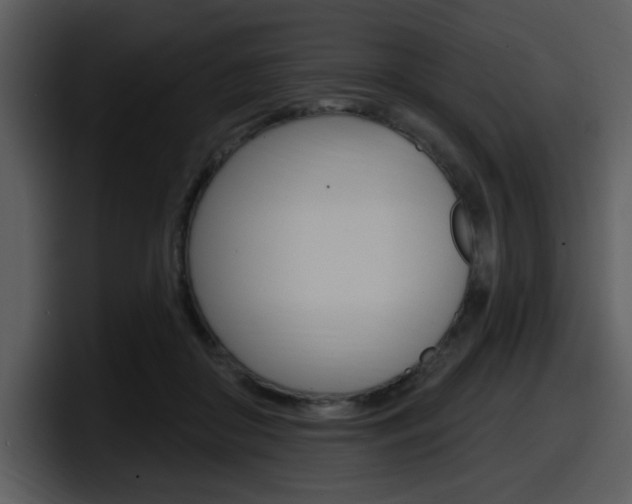 X0000098090410200804040730