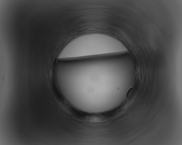 X0000098090412200804040730