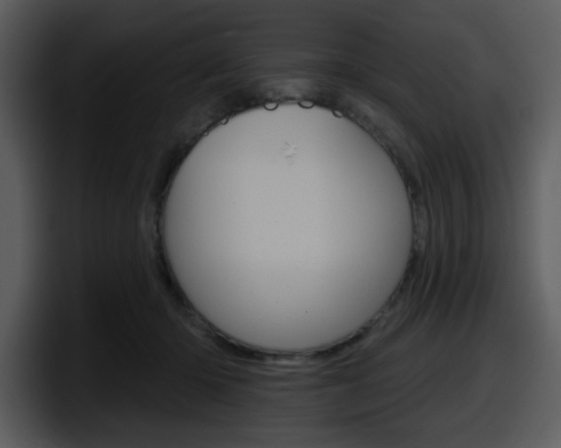 X0000098090414200804040730
