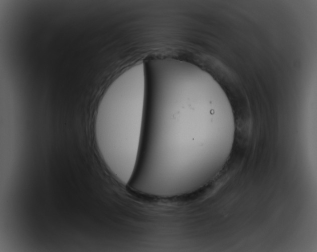 X0000098090416200804040730