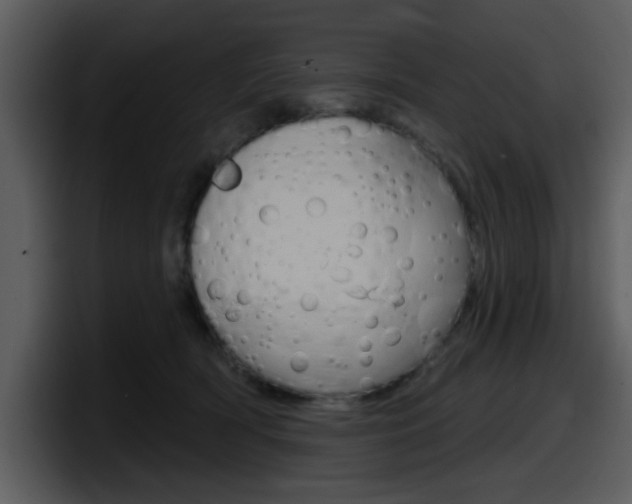 X0000098090418200804040730