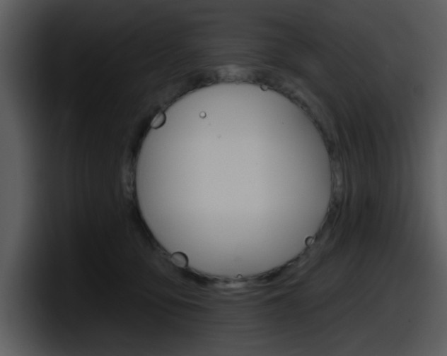 X0000098090419200804040730