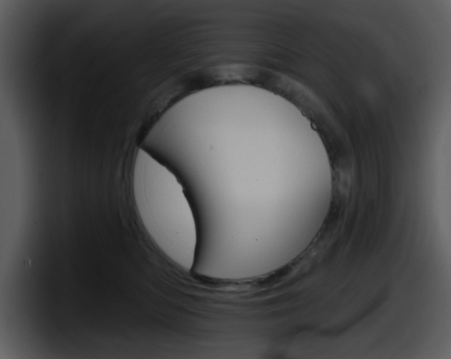 X0000098090422200804040730