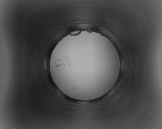 X0000098090424200804040730