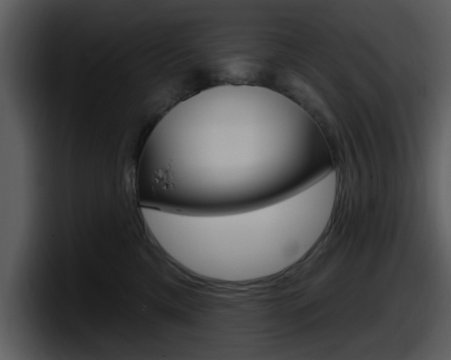 X0000098090425200804040730