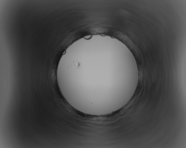 X0000098090426200804040730