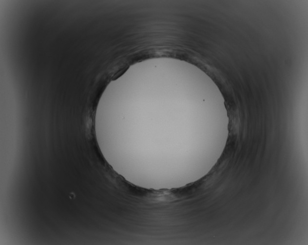 X0000098090427200804040730
