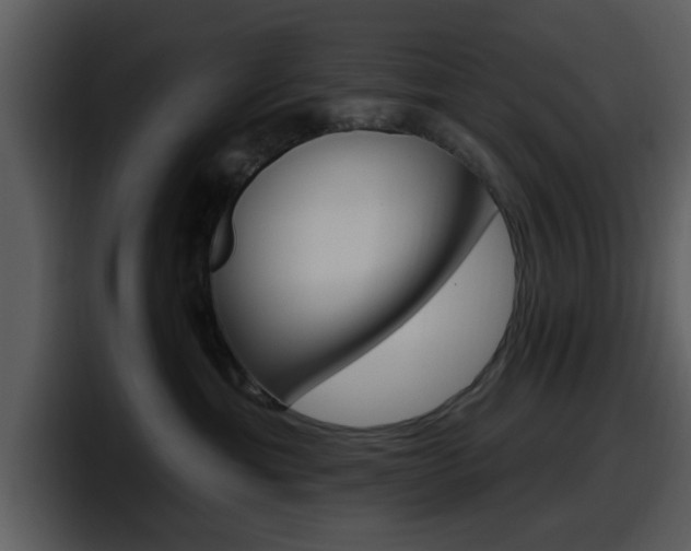 X0000098090429200804040730