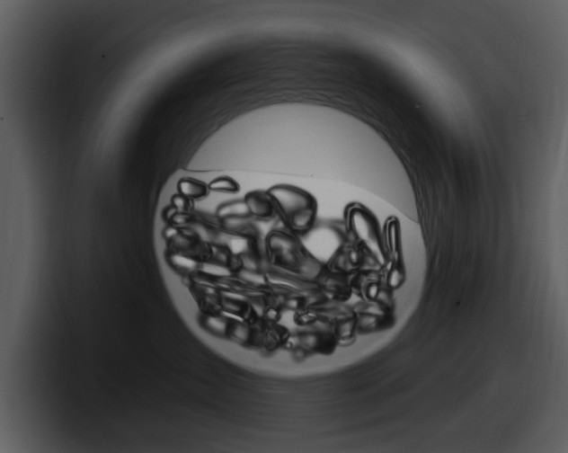 X0000098090431200804040730