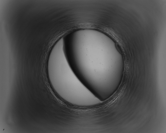 X0000098090433200804040729