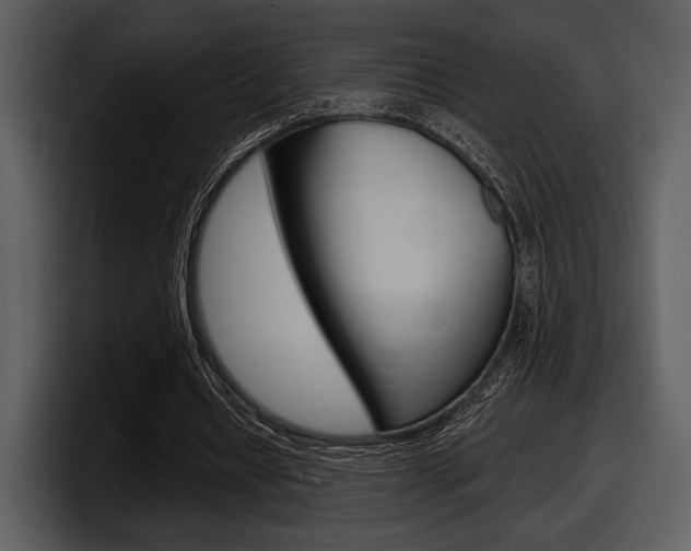X0000098090434200804040729