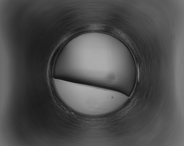X0000098090435200804040729