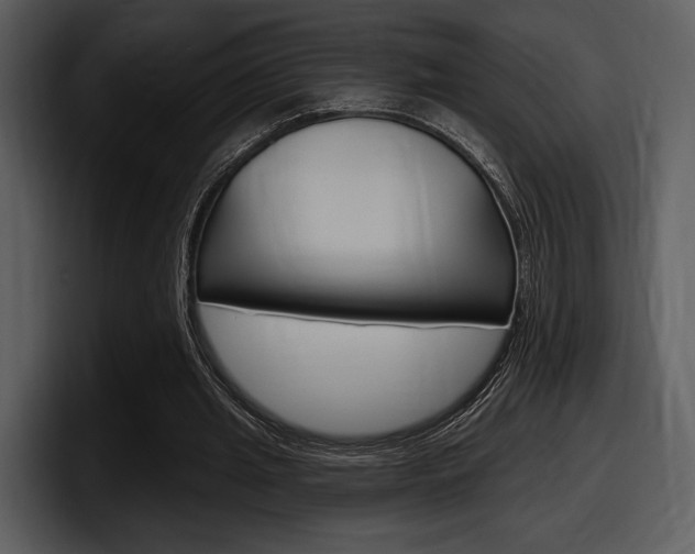 X0000098090437200804040729