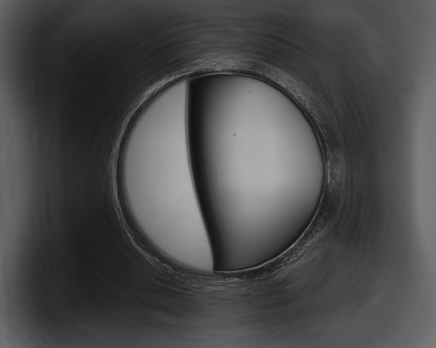 X0000098090438200804040729