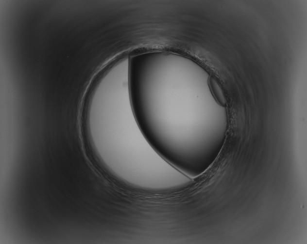 X0000098090440200804040729