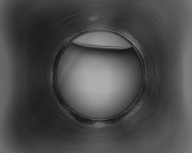 X0000098090441200804040729