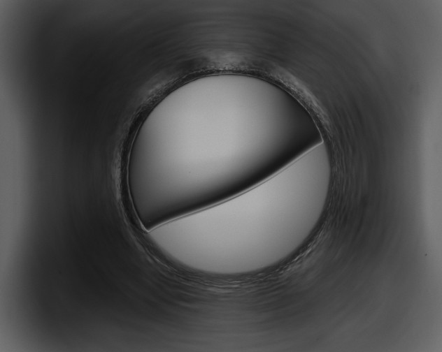 X0000098090442200804040729