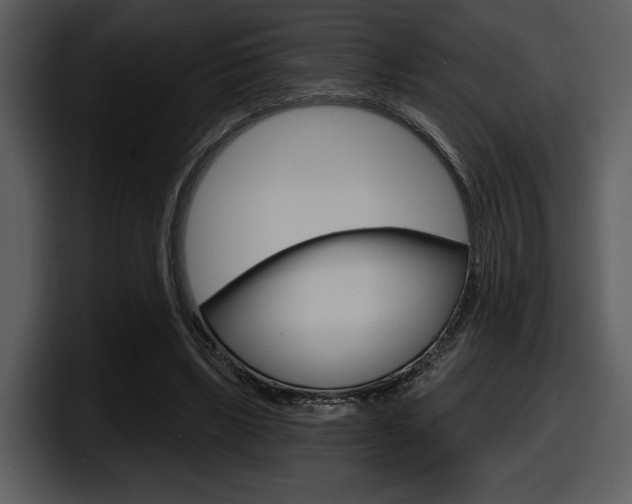 X0000098090443200804040729
