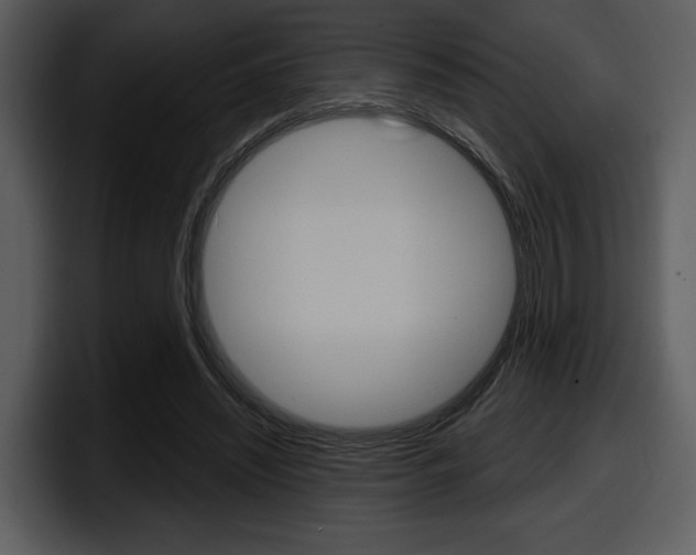 X0000098090444200804040729