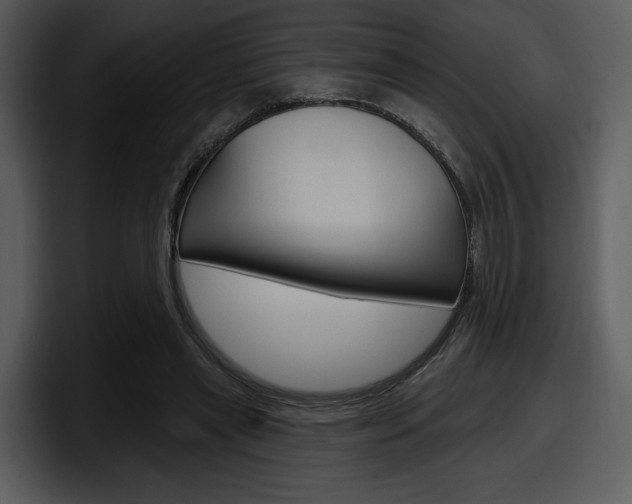 X0000098090445200804040729