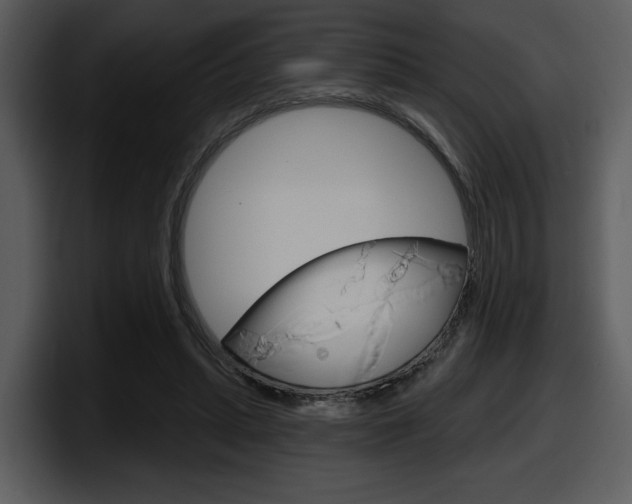 X0000098090447200804040729