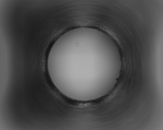 X0000098090450200804040730