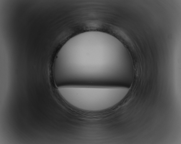 X0000098090455200804040730