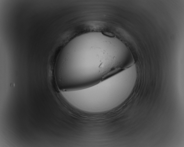 X0000098090456200804040730