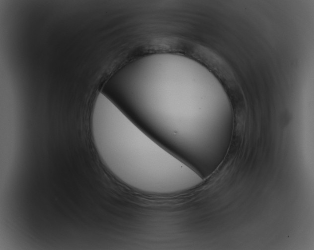 X0000098090457200804040730