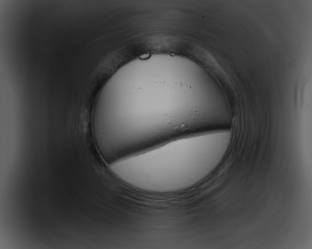X0000098090458200804040730
