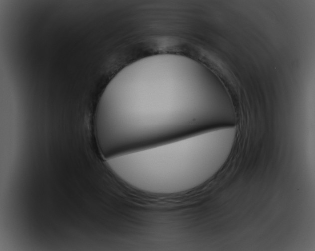 X0000098090461200804040730
