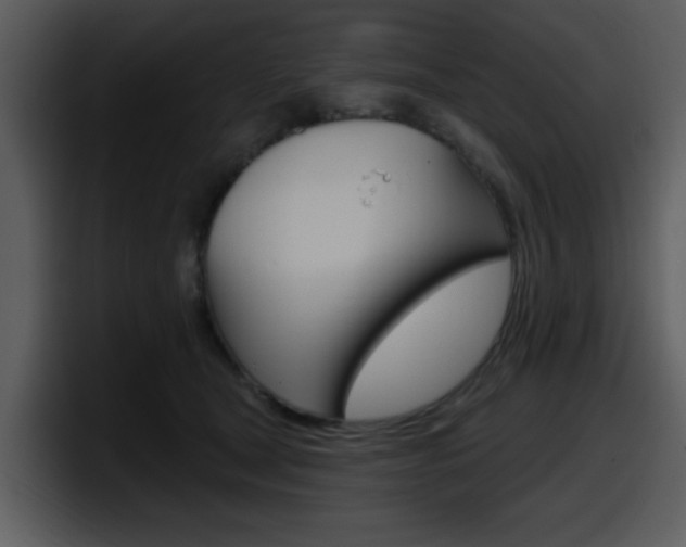 X0000098090465200804040730