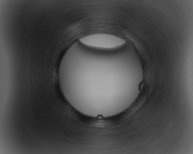 X0000098090467200804040730
