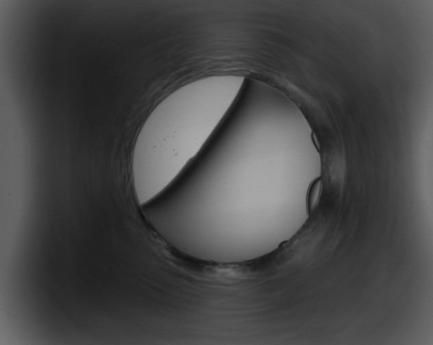 X0000098090475200804040730