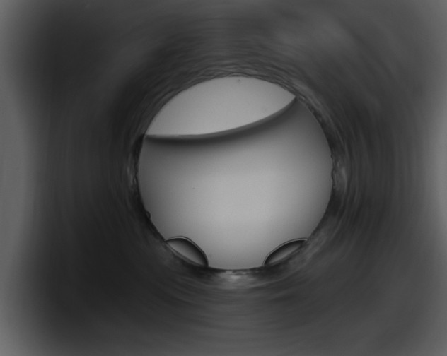 X0000098090477200804040730