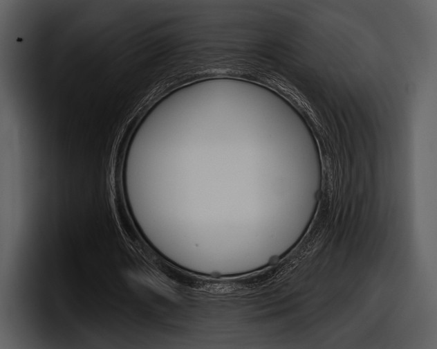 X0000098090482200804040729