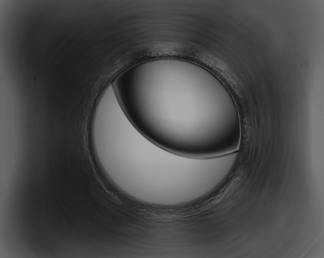 X0000098090489200804040729