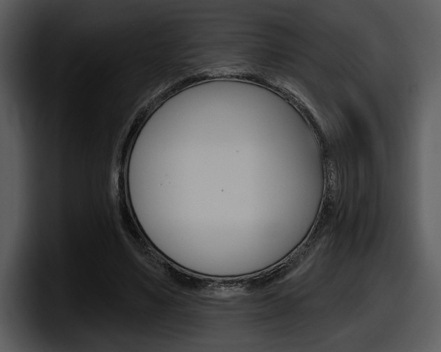 X0000098090491200804040729